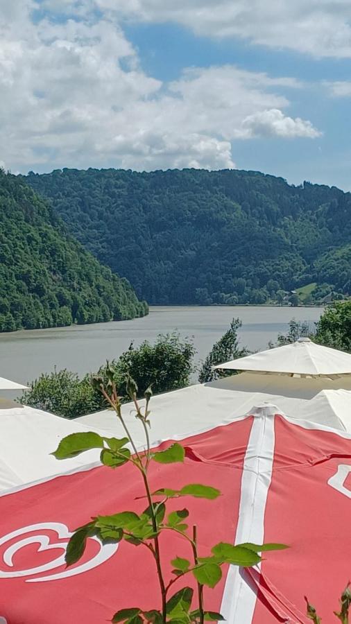 Gasthaus Zur Blauen Donau Hotel Wesenufer Ngoại thất bức ảnh